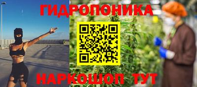 шишки Рязань