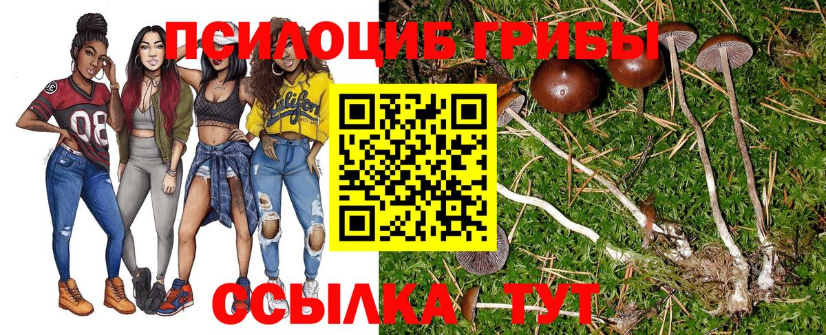 Арсеньев  Галлюциногенные грибы мухоморы  Псилоцибиновые грибы прущие грибы  Вход с VPN 